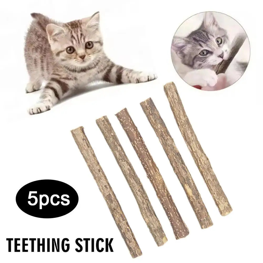 5Pcs Natural Catnip Pet Cat Molar Toothpaste Stick Cat Kitten Chew Toys Pet Supplies Cat Snacks Sticks Healthy Pet Accessories
